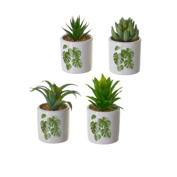Dirbtinės gėlės 4 vnt. Cactus – Casa Selección