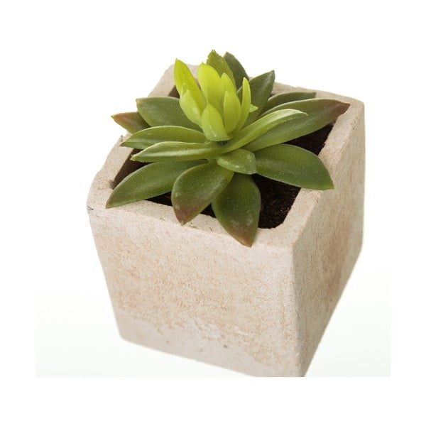 Dirbtiniai augalai 6 vnt. (aukštis 9,5 cm) Cactus – Casa Selección-image-1