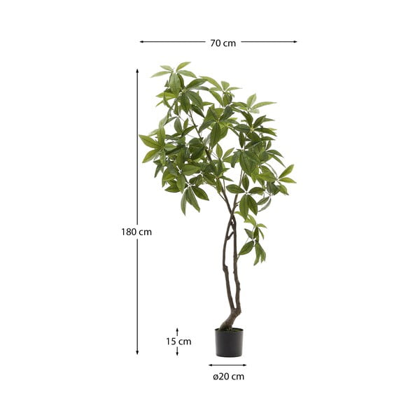 Dirbtinis augalas (aukštis 180 cm) Pachira – Kave Home-image-2