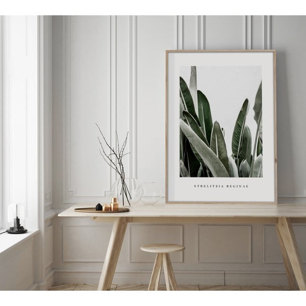 Paveikslas 50x70 cm Strelitzia – Styler-image-1