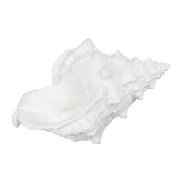 Iš polirezino statulėlė (aukštis 12 cm) Seashell – Ixia-image-4