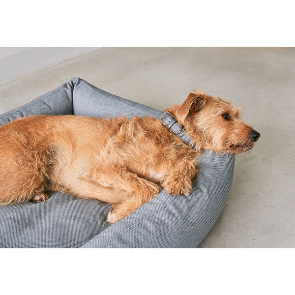 Augintinio guolis rudos spalvos šuniui 65x80 cm Mare Kelp S/M – MiaCara-image-3