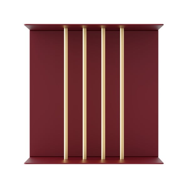 Iš metalo sieninė lentyna raudonos spalvos Teaser – UMAGE-image-3