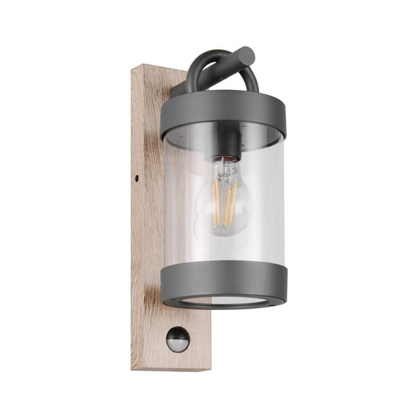 Sieninis lauko šviestuvas (aukštis 33 cm) Sambesi – Trio