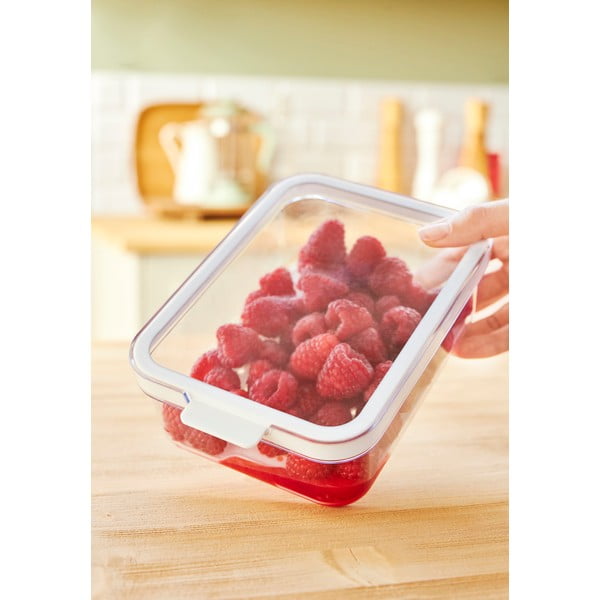 Iš plastiko šaldytuvo organizatorius Cauma – Rotho-image-1