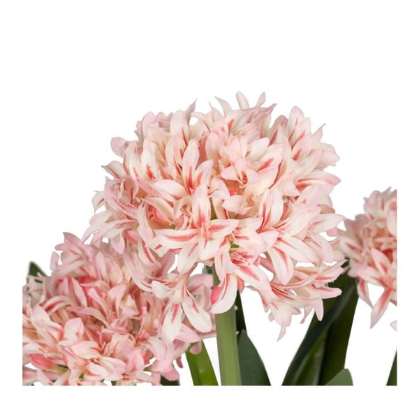 Dirbtinė gėlė (aukštis 100 cm) Hyacinth – Ixia-image-1