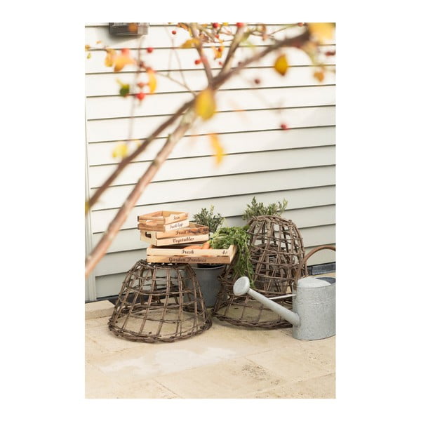 Medinis druskinės ir pipirinės stovas T&G Woodware-image-2