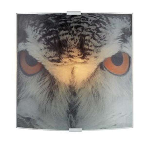 Sieninis šviestuvas Markslöjd Owl
