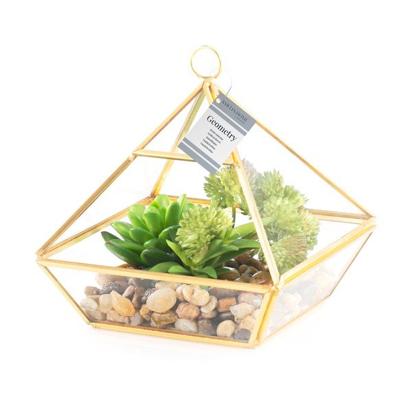 Dirbtinis sukulentas (aukštis 15,5 cm) Geometry – AmeliaHome