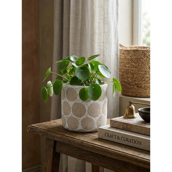 Iš terakotos rankų darbo gėlių vazono dangtelis ø 12 cm Felan – Bloomingville-image-1