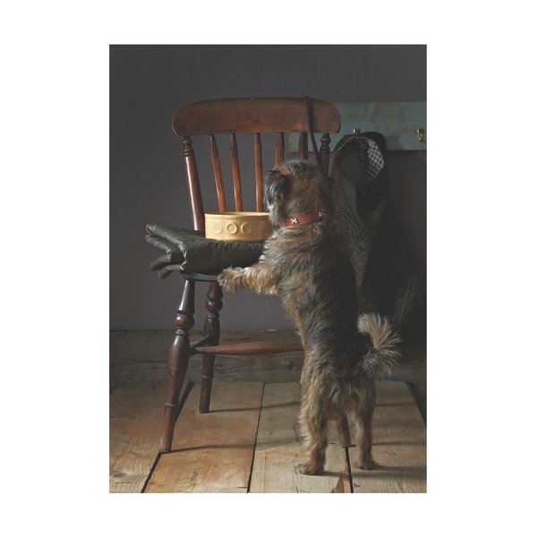 Akmens masės dubenėlis šunims Mason Cash Dog Cane, ø 25 cm-image-4
