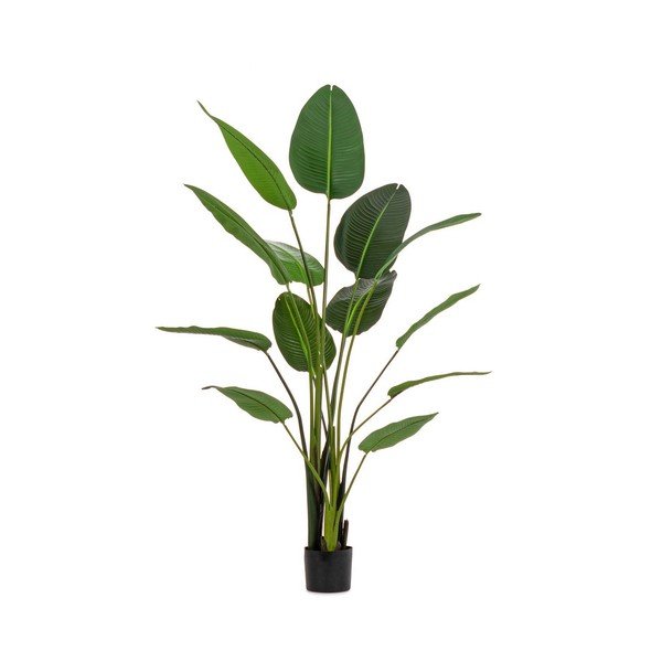 Dirbtinė gėlė (aukštis 185 cm) Sterilizia – Bizzotto