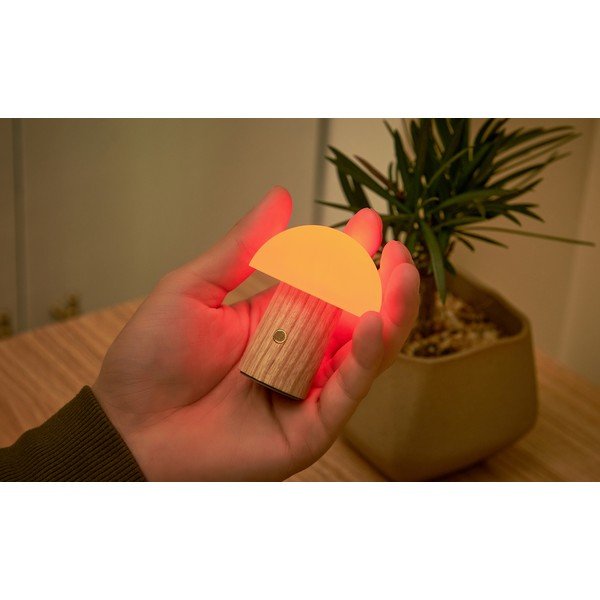 Iš uosio masyvo stalinis šviestuvas natūralios spalvos LED su pritemdymo funkcija (aukštis 7 cm) Alice – Gingko-image-4