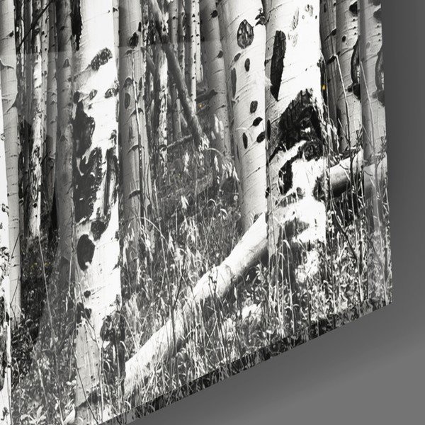 Paveikslas ant stiklo Insigne Yellow Forest, 110 x 70 cm-image-2