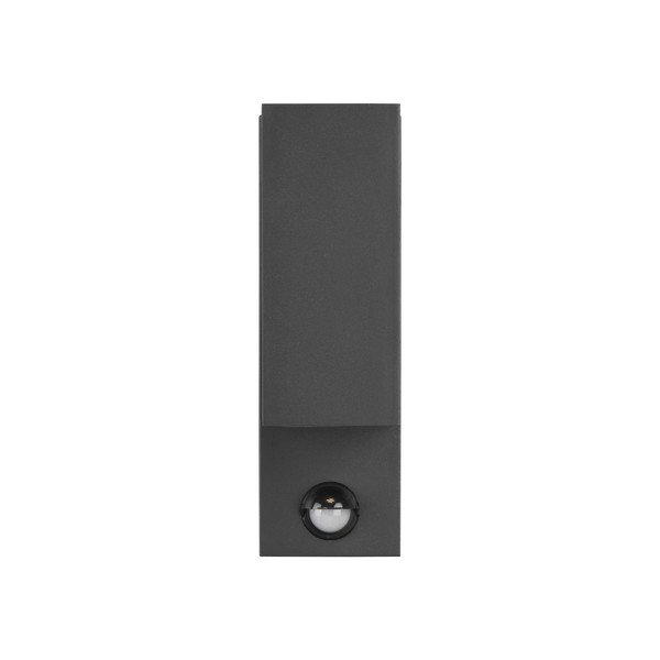 Sieninis lauko šviestuvas (aukštis 22 cm) Roya - Trio-image-4