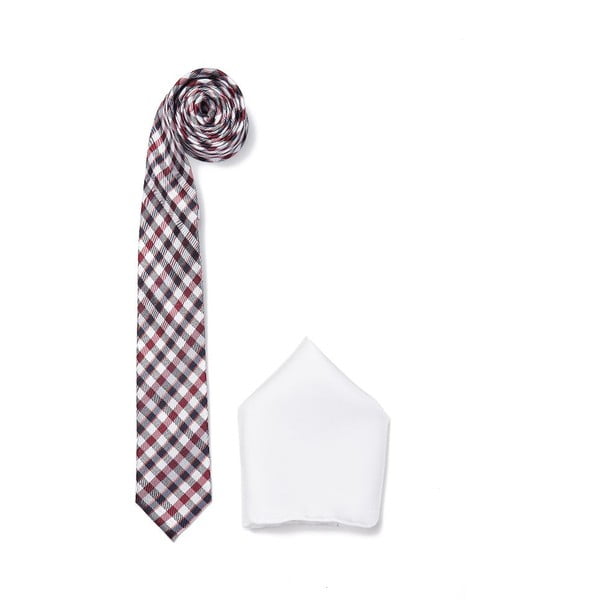 Kaklaraiščio ir nosinės rinkinys Ferruccio Laconi 12