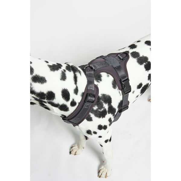 Dirželis tamsiai pilkos spalvos L ilgis 42 cm Modena Asphalt L – MiaCara-image-3
