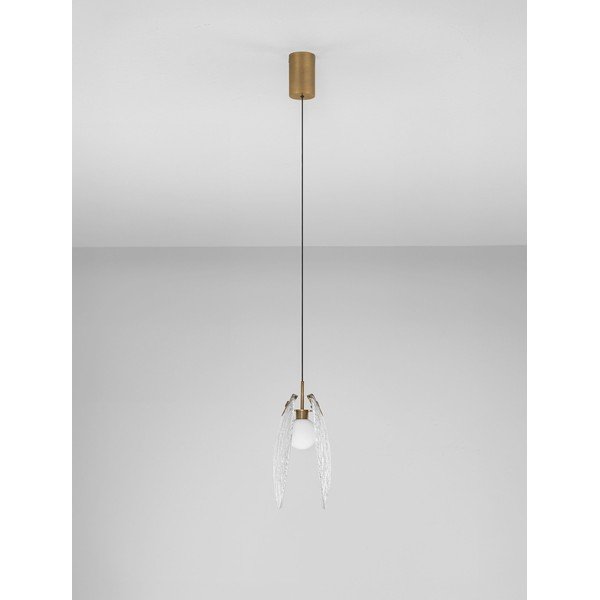 Žalvario spalvos iš plieno kabantis šviestuvas LED su stiklo gaubtu Shelina – Nova Luce-image-4