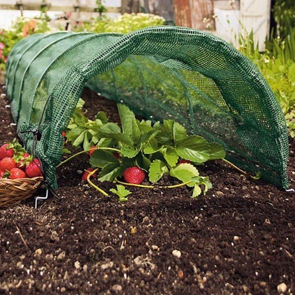 Agrotekstilė – Garden Pleasure-image-1