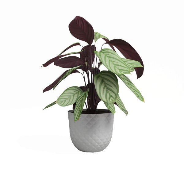 Vazonas iš perdirbto plastiko ø 20 cm Havana – Artevasi-image-2