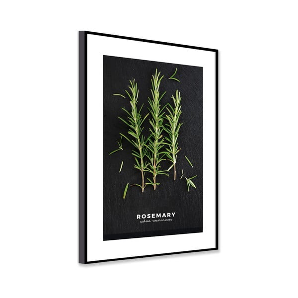 Paveikslas 50x70 cm Rosemary – Styler-image-3
