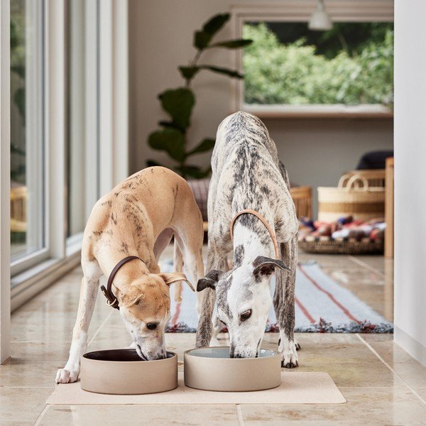 Iš keramikos augintinių dubuo šuniui ø 17 cm Sia – OYOY Living Design-image-3