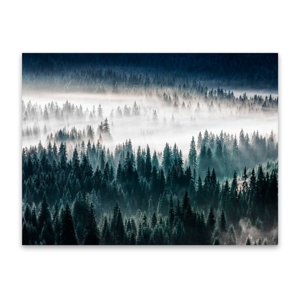 Vaizdas Styler Glasspik Misty Forest, 80 x 120 cm