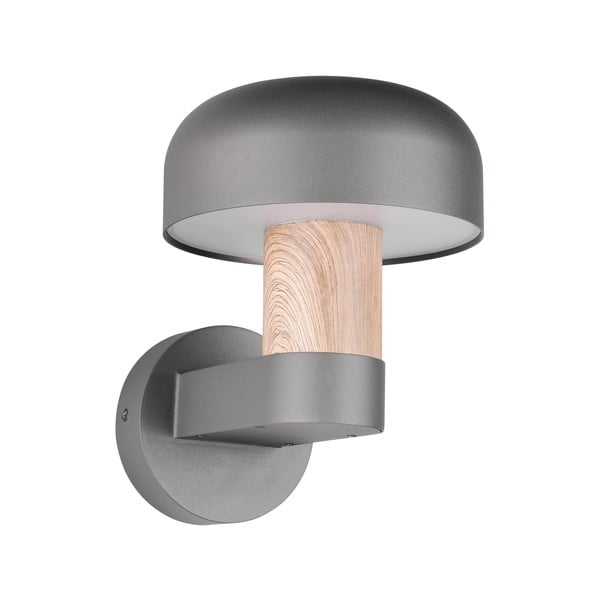 Sieninis lauko šviestuvas (aukštis 24,5 cm) Fraser – Trio