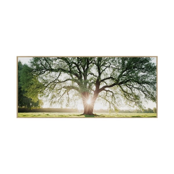 Paveikslas 150x60 cm Tree in the Sun – knor