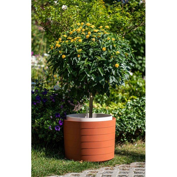 Rudai raudonos spalvos savaiminio laistymo vazonas Plastia Berberis, ø 55 cm-image-1