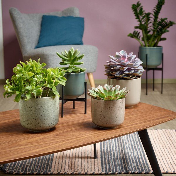 Smėlio spalvos keraminis vazonas Big Pots Bari, ø 13 cm-image-1