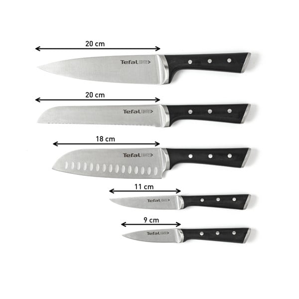 Peilių blokas su 5 peiliais Ice Force - Tefal-image-1