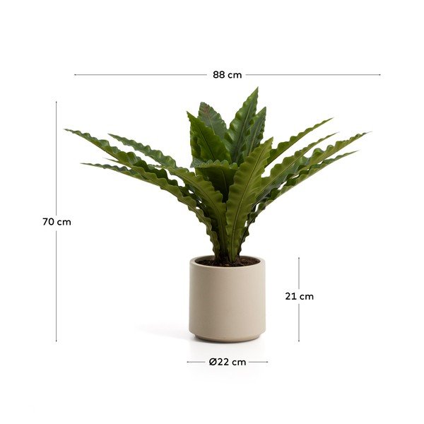 Dirbtinis sukulentas (aukštis 70 cm) Neottopteris – Kave Home-image-4