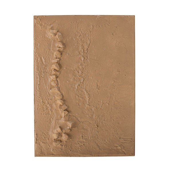 Paveikslas 50x70 cm Sisken – Bloomingville