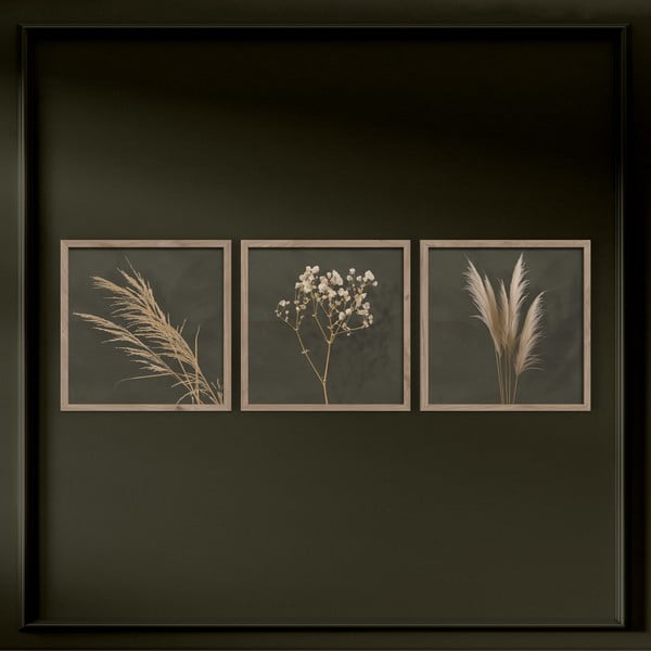 Paveikslai 3 vnt. 30x30 cm Pampas – Styler-image-3