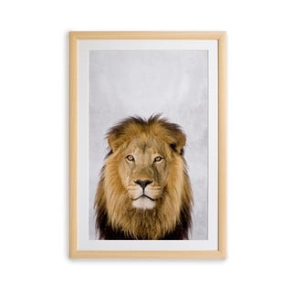 Paveikslas rėmuose Surdic Lion, 30 x 40 cm