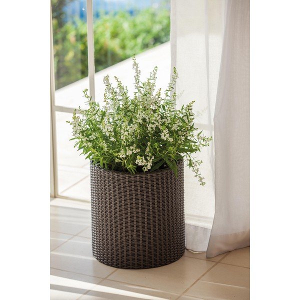 Iš plastiko vazonas ø 28 cm Cylinder – Keter-image-1