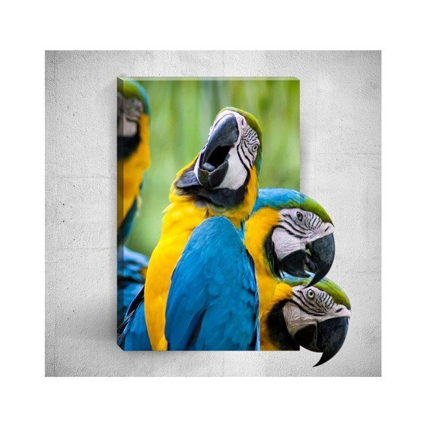 3D paveikslas ant sienos "Mosticx Parrots", 40 x 60 cm