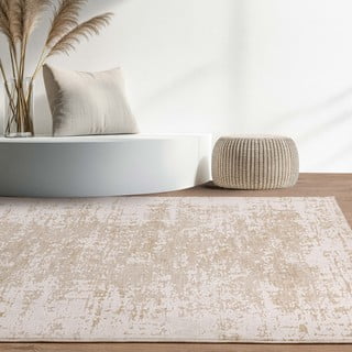 Smėlio spalvos/kreminės spalvos kilimas 240x320 cm Anders Beige Natural – Asiatic Carpets