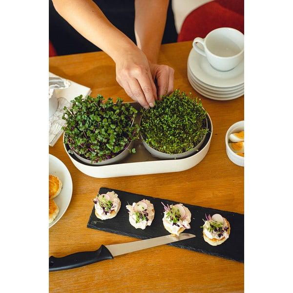 Daiginimo padėklų rinkinys Velká farma Microgreens & Regrow - Plastia-image-3