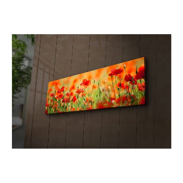 Apšviestas paveikslas Seanas, 90 x 30 cm-image-1