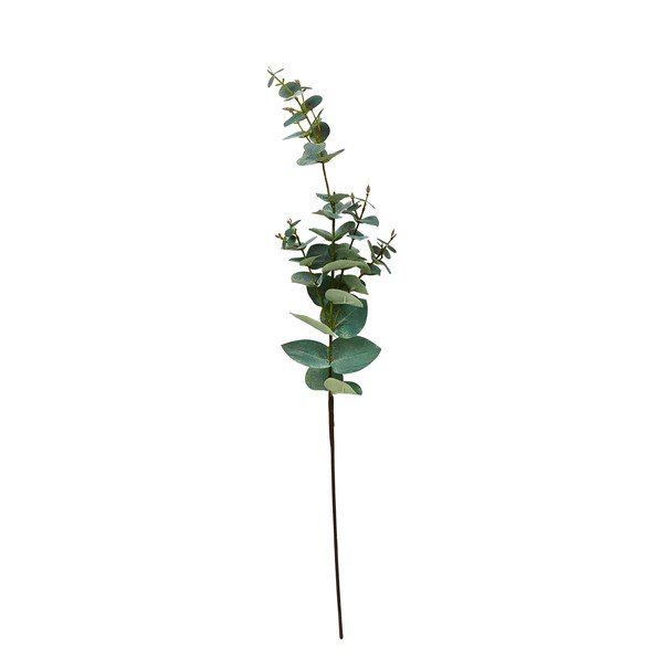 Dirbtinis eukaliptas (aukštis 71 cm) Kvist – Villa Collection