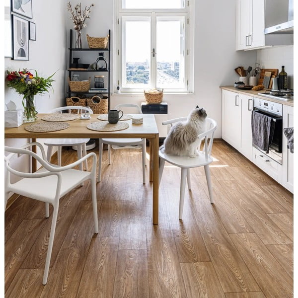 2 baltų valgomojo kėdžių rinkinys Bonami Essentials Dali Chaur-image-1