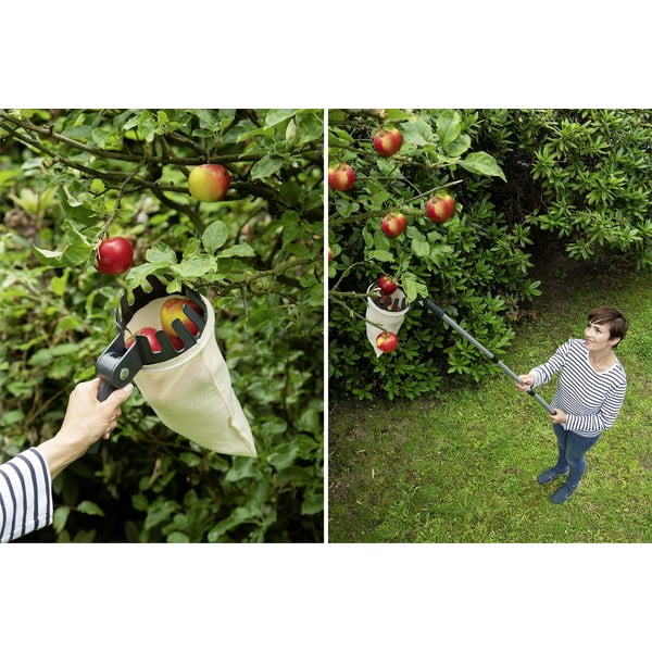 Teleskopinis vaisių skynėjas - Maximex-image-1