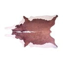 Kilimas Vitaus Wild Pareso, 80 x 120 cm