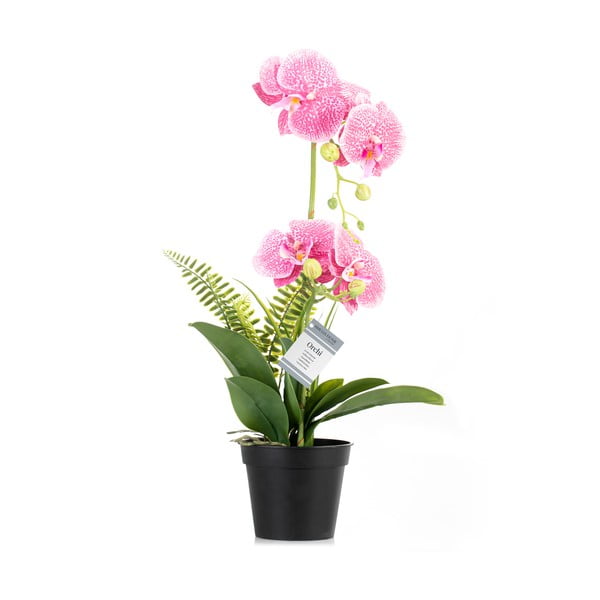 Dirbtinė gėlė (aukštis 55 cm) Orchid – AmeliaHome