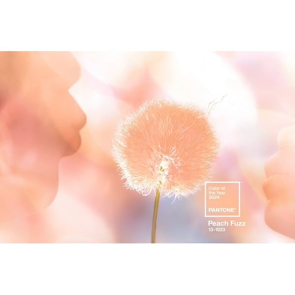 Raktų pakabukas oranžinės spalvos Peach Fuzz 13-1023 – Pantone-image-1