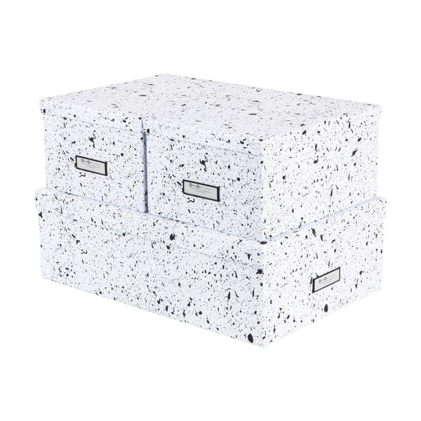 3 juodai-baltos spalvos daiktadėžių rinkinys Bigso Box of Sweden Inge