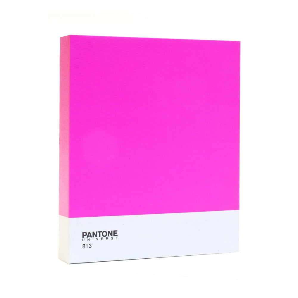 Vaizdas Pantone 813 Classic Bright Pink
