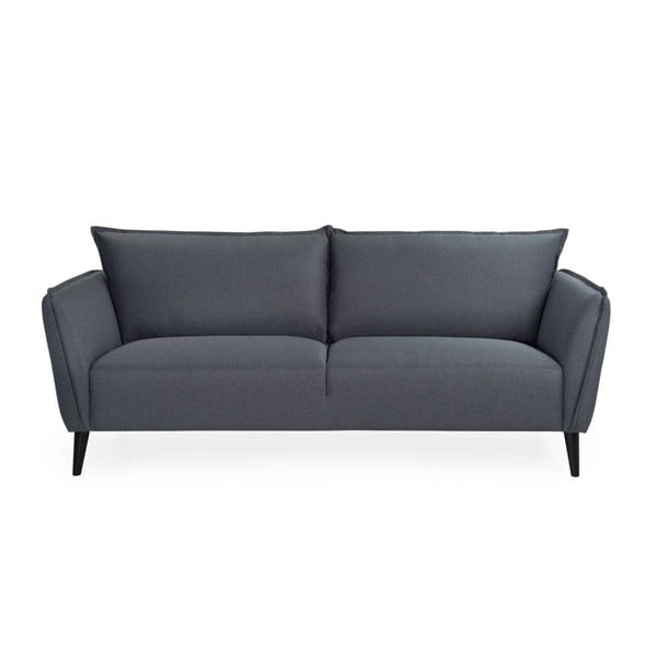 Tamsiai pilka sofa "Scandic Retro", 206 cm